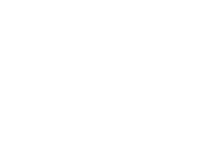 DL Wraps