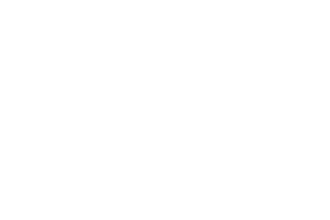 Government Technology Services