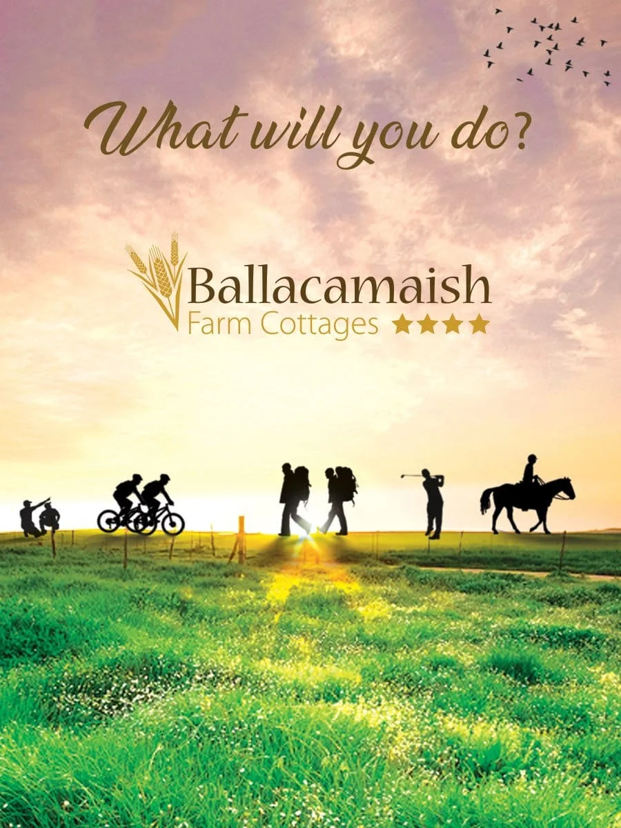 Original Ballacamaish Farm Cottages campaign artwork featuring the line What will you do?