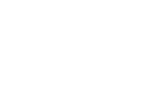 Cs champion sports logo.
