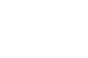 The logo for dave lions custom wraps.