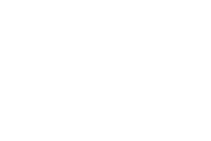 Government technology services logo.