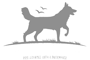 Silhouette of a dog walking with text "The Dog Adventure Co. Dog Walking with a Difference" below the image, birds flying in the background, and eye-catching elements that create an engaging logo design.