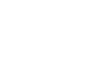 Vg villagey logo on a green background.